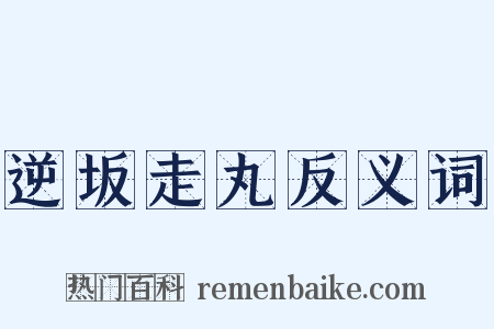 逆坂走丸反义词是什么意思的图片